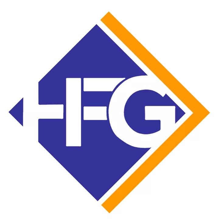 HFG Informatique